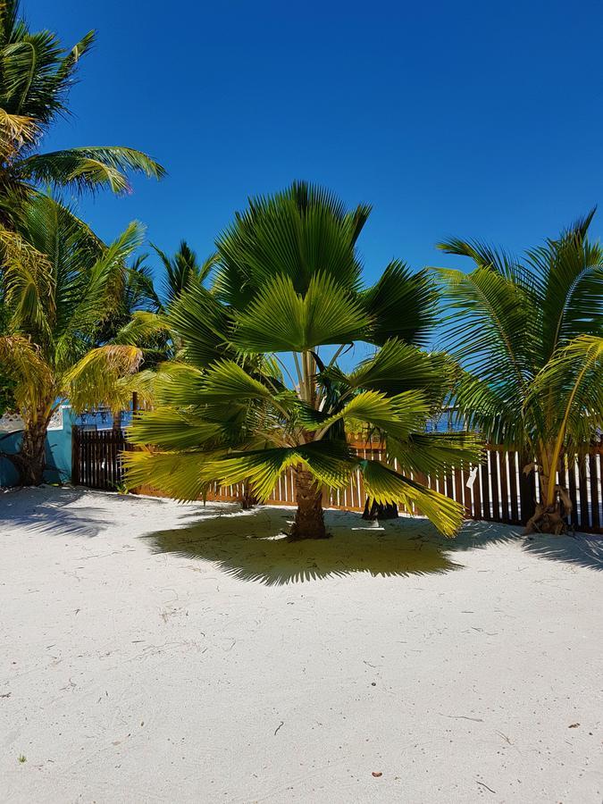 Carolyn'S House Villa Caye Caulker Eksteriør bilde